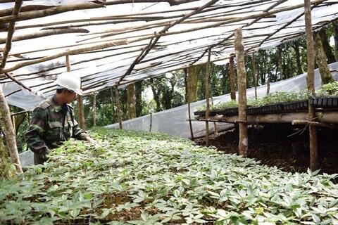 Tiềm năng phát triển nông nghiệp ứng dụng công nghệ cao huyện Tu Mơ Rông