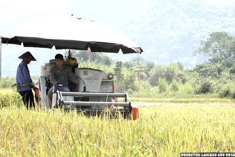 <a href="/phongtho.laichau.gov.vn/tin-tuc-su-kien/tin-kinh-te" title="Tin Kinh tế" rel="dofollow">TIN KINH TẾ</a>