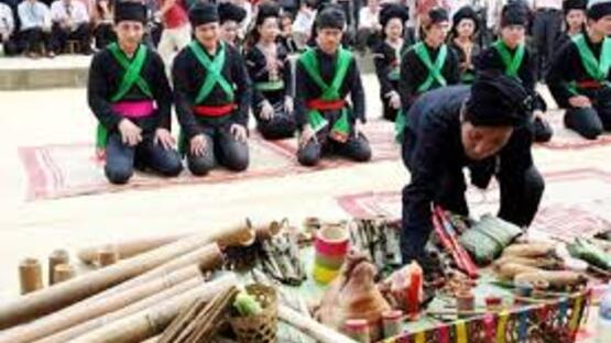 upload/105512/20250303/TN5_addf9.jpg
