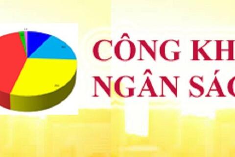 Báo cáo công khai số liệu và thuyết minh tình hình thực hiện dự toán thu, chi của ngân sách đia phương Quý I năm 2021